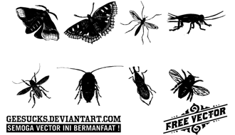 Insect Vectors