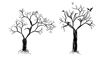 Tree Set