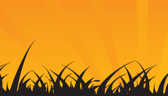 Sungrass Background