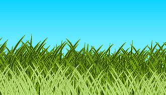 Vector Grass Field