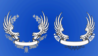 Scrolled Wings Designs